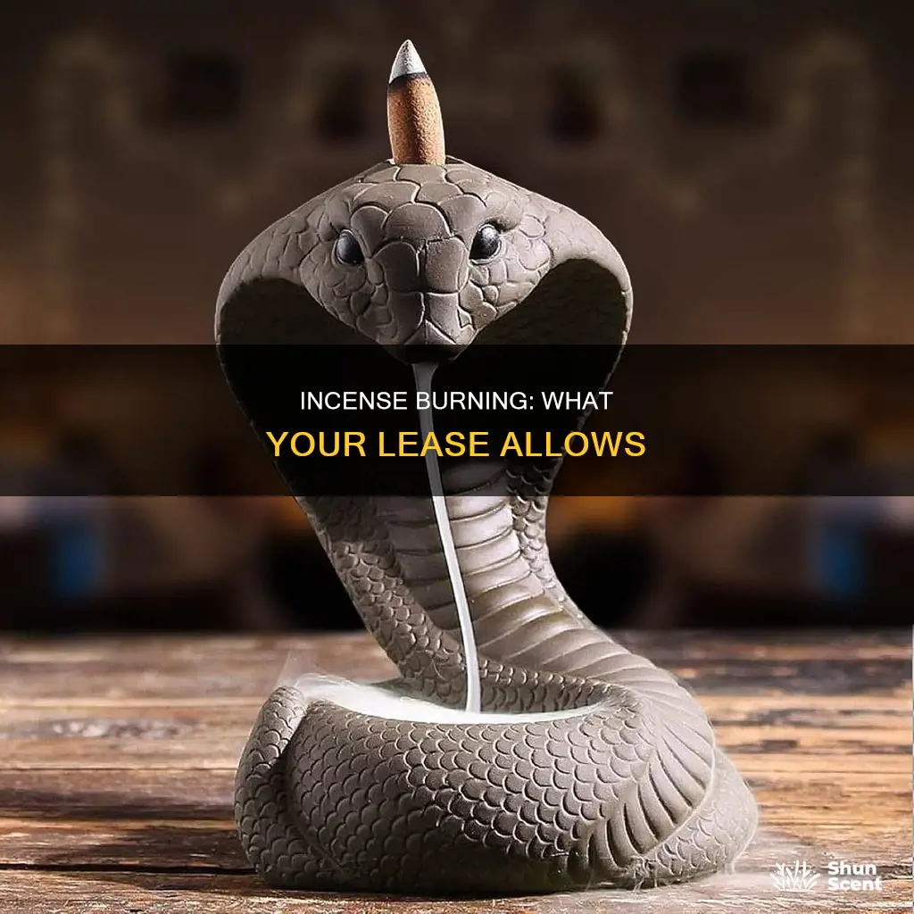 is burning incense allowed in a lease