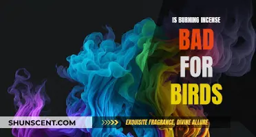 Incense and Birds: A Toxic Relationship?