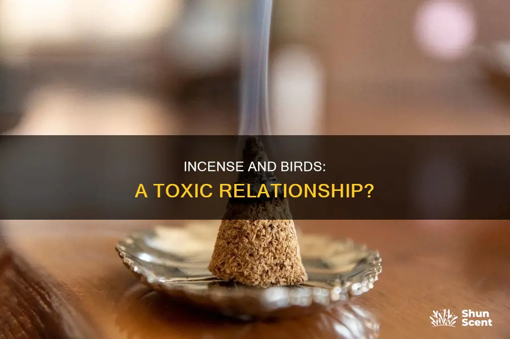 is burning incense bad for birds
