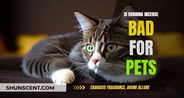 Incense and Pets: What's the Harm?