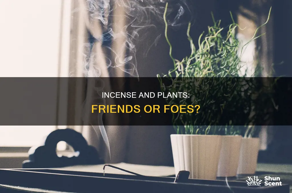 is burning incense bad for plants