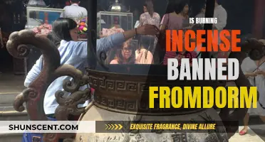 Incense Burning in Dorms: What's the Deal?