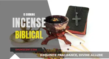 Incense Burning: Biblical or Pagan Practice?