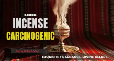 Incense and Cancer: Is Burning Incense Carcinogenic?