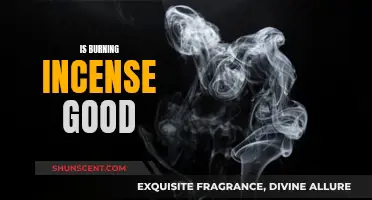 Incense Burning: Healthy Habit or Harmful Hobby?
