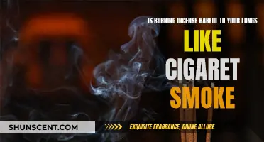 Incense Smoke: A Health Hazard Like Cigarettes?