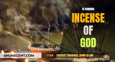Incense Burning: Sacred Ritual or Cultural Practice?