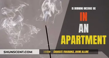 Incense Burning in Apartments: Safe or Not?