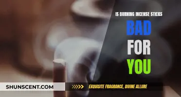 Incense Sticks: Healthy Habit or Health Hazard?