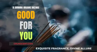 Organic Incense: Healthy Habit or Health Risk?