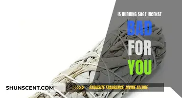 Sage Incense: Is It Harmful to Your Health?