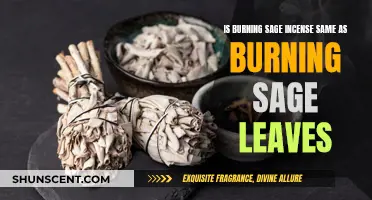 Incense vs. Leaves: Burning Sage, What's the Difference?