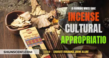 White Sage Incense: Cultural Appropriation or Appreciation?