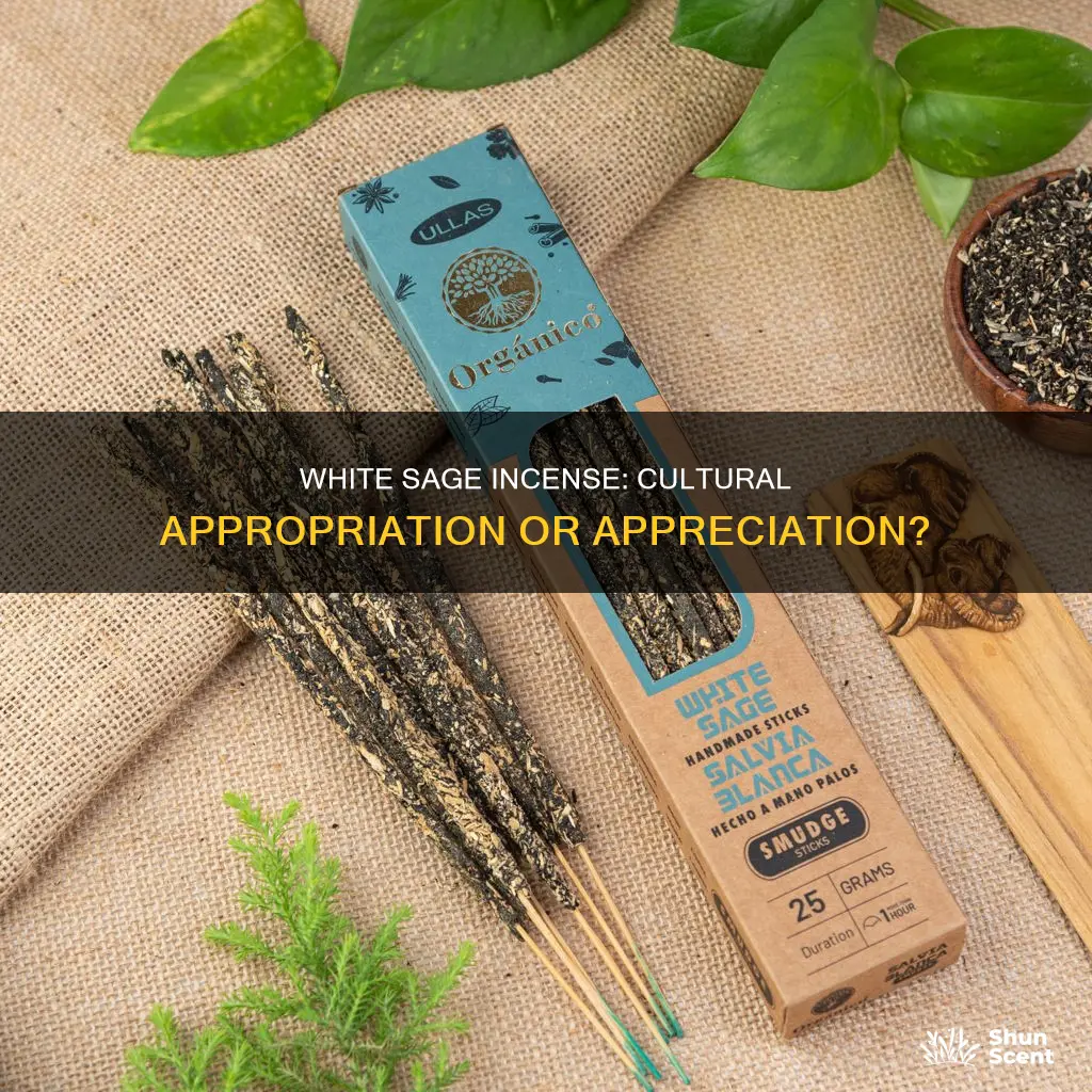 is burning white sage incense cultural appropriation