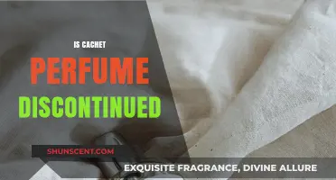 The Mystery of Cachet Perfume: Discontinued or Not?