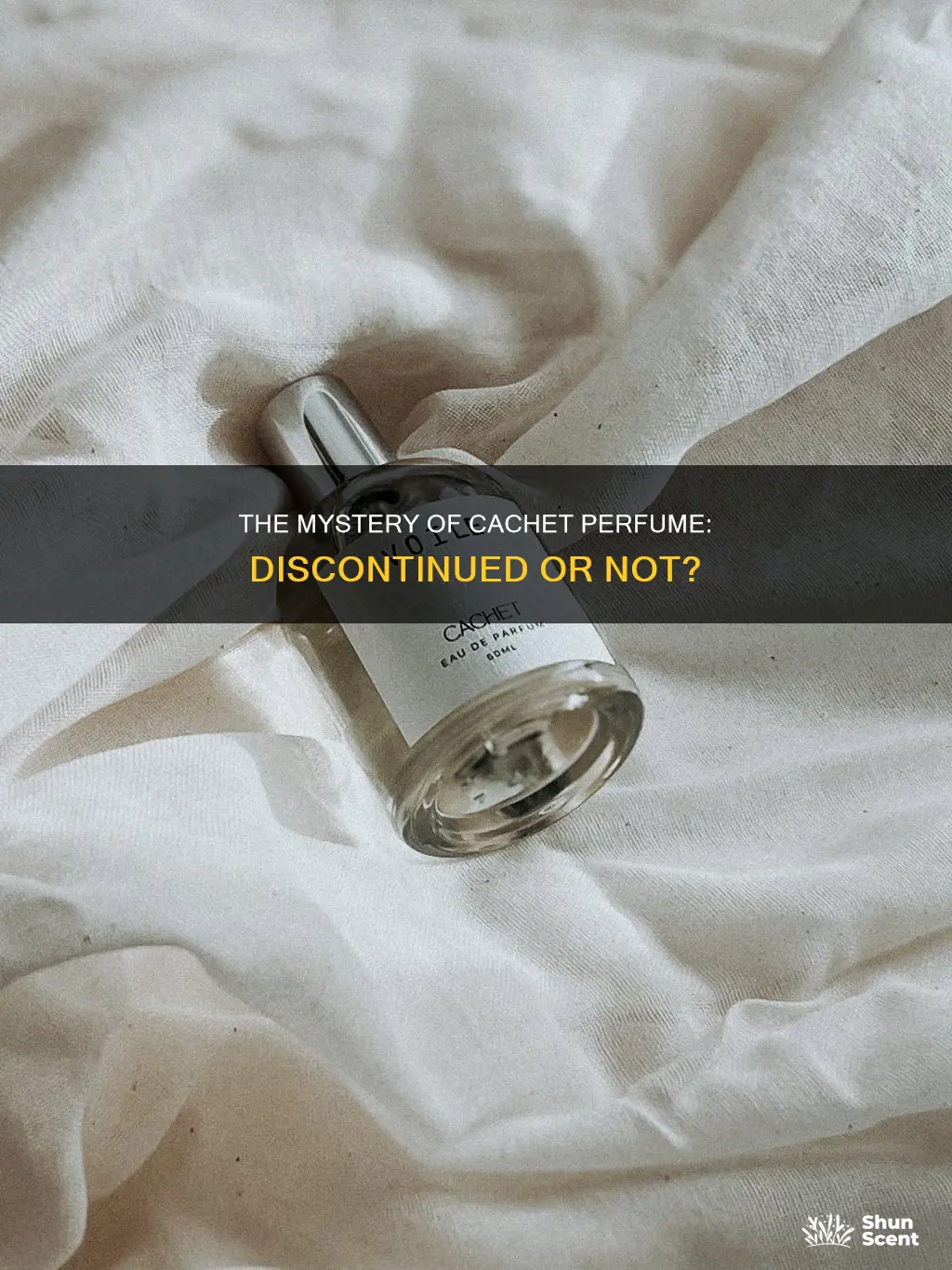 is cachet perfume discontinued