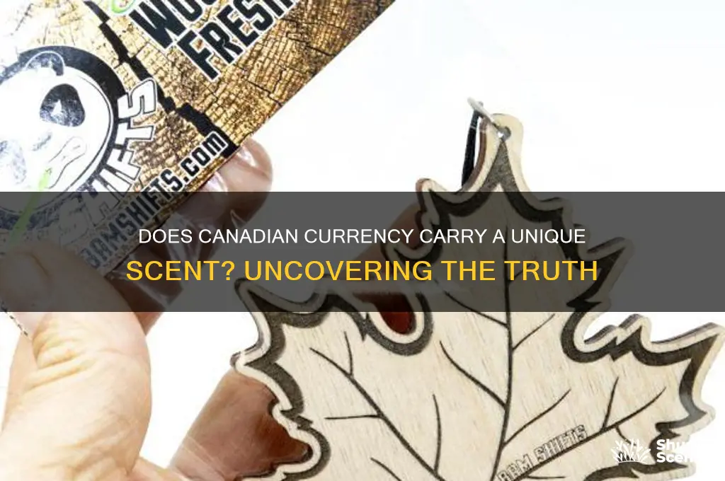 is canadian money scented
