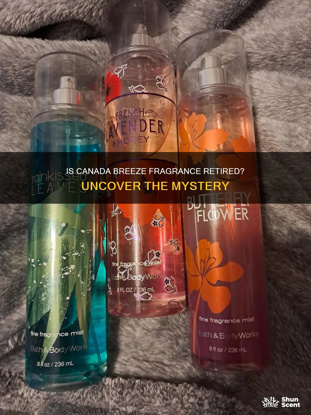 is canana breeze fragrance retired