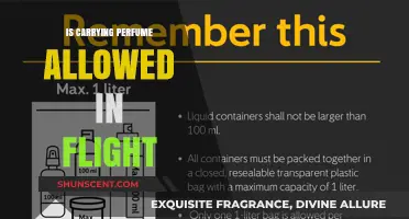 Perfumes in Planes: What You Need to Know