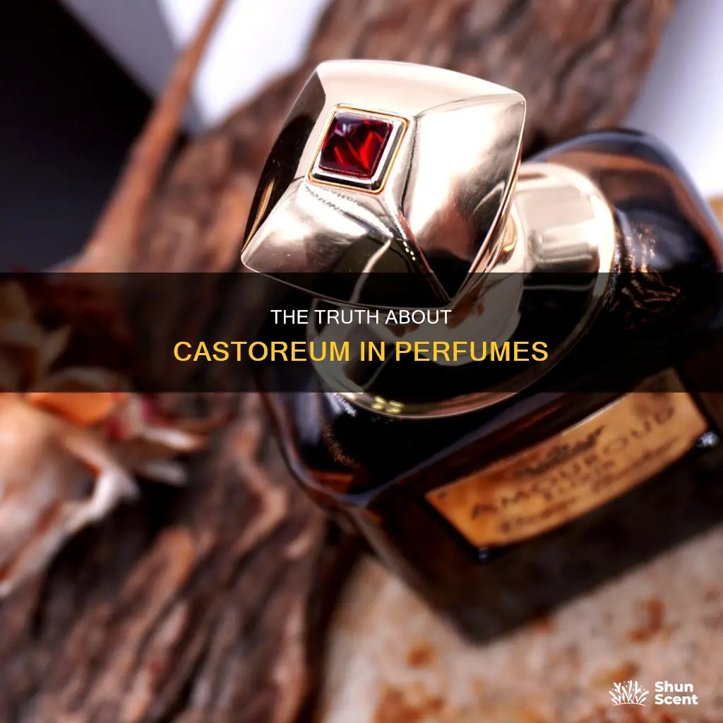 is castoreum still used in perfume