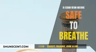 Cedar Resin Incense: Safe to Breathe?