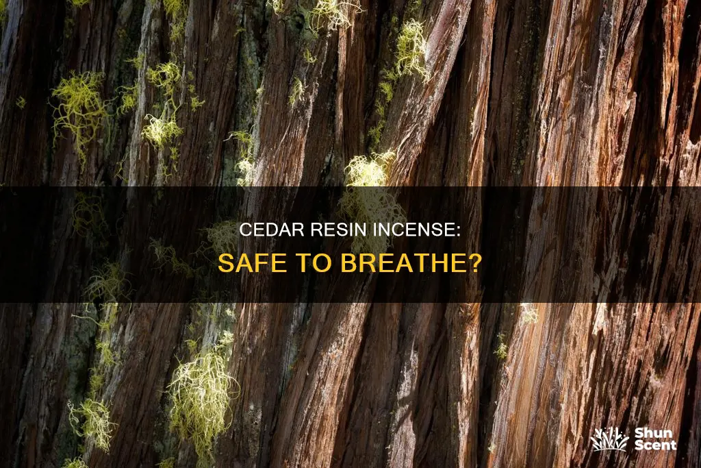 is cedar resin incense safe to breathe