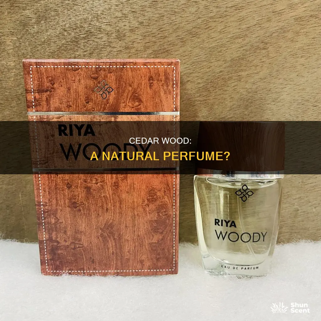 is cedar wood a good perfume