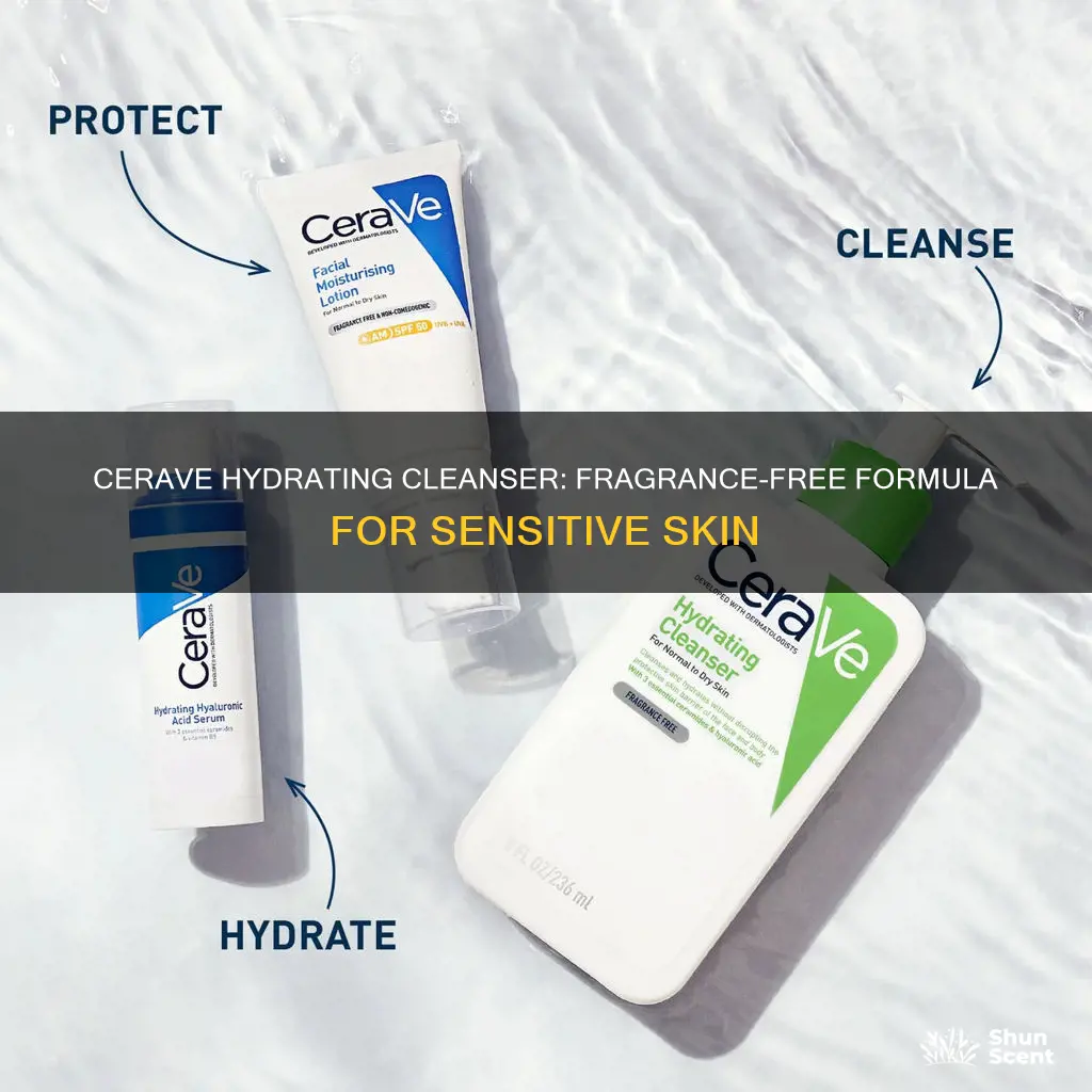 is cerave hydrating cleanser fragrance free