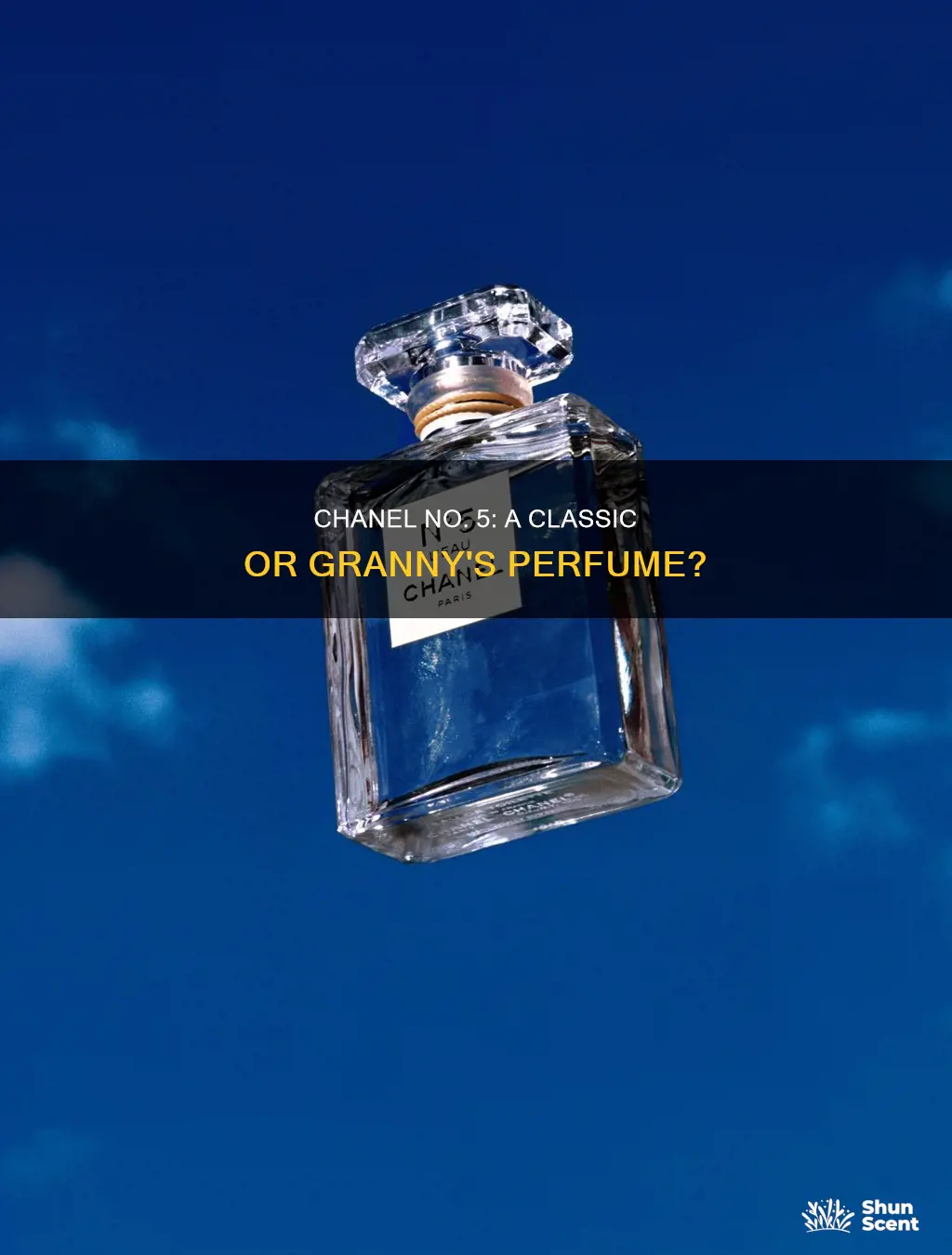 is chanel 5 an old lady perfume