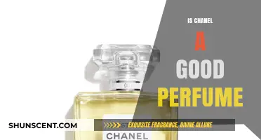 Chanel Perfumes: Are They Worth the Hype?