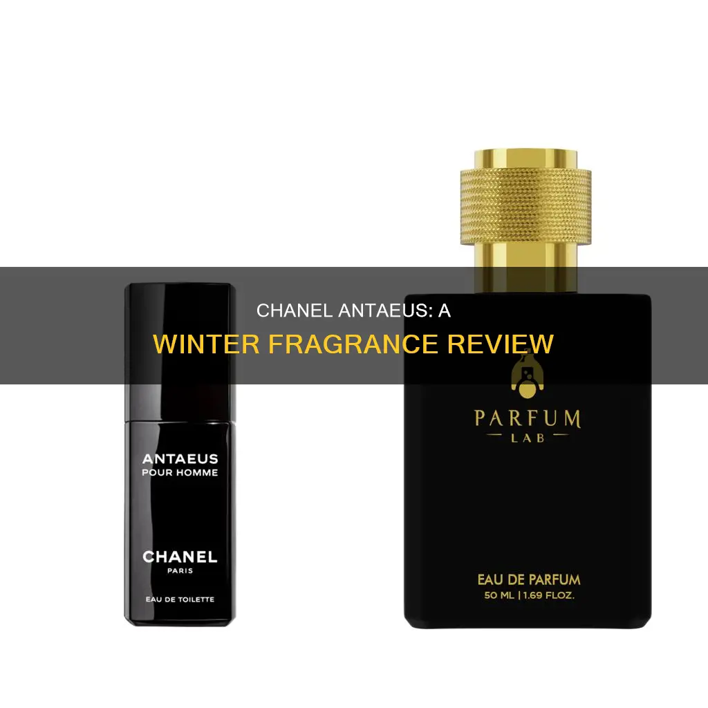 is chanel antaeus a winter fragrance