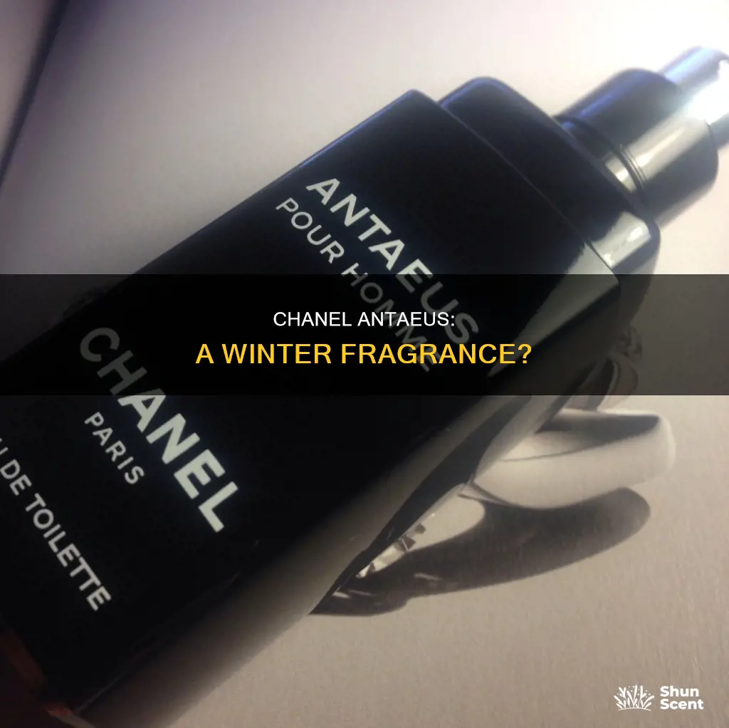 is chanel antaeus a winter fragrance
