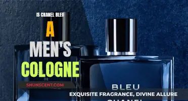 Chanel Bleu: A Timeless Fragrance for Men?