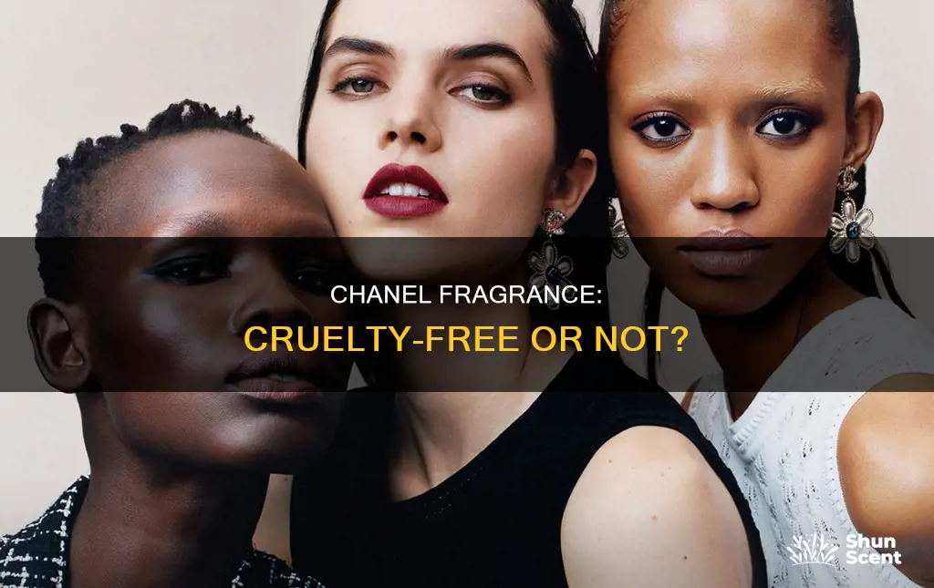 is chanel fragrance cruelty free