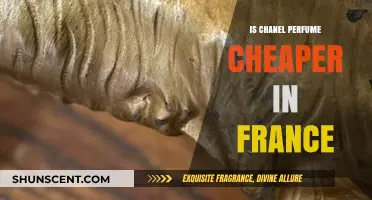 Chanel Perfume: Cheaper in France?