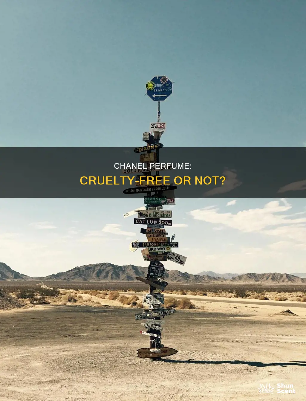 is chanel perfume cruelty free