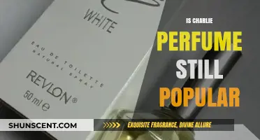 Charlie Perfume: Still Popular or Fading Away?