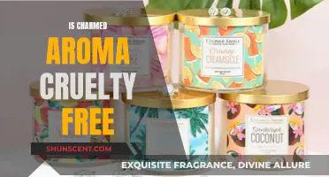 Charmed Aroma: Cruelty-Free Candles and Jewelry?