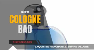 Colognes on a Budget: Are They Worth It?