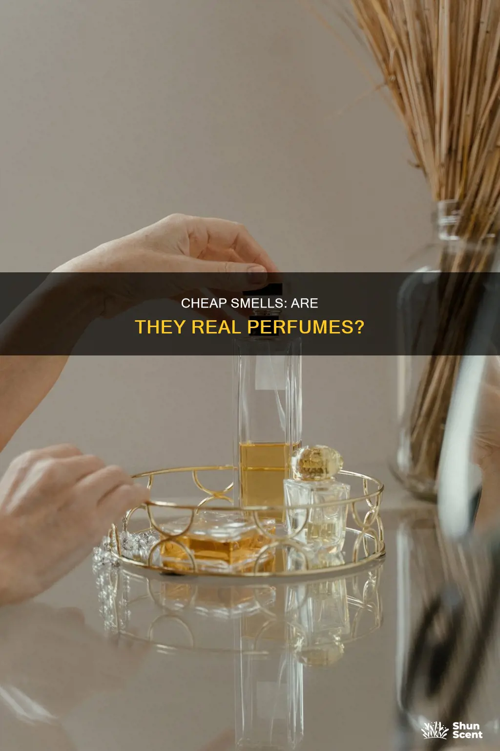 is cheap smells perfume real