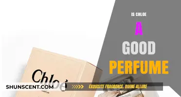 Chloe Perfumes: Are They Worth the Hype?