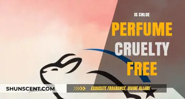Chloe Perfume: Cruelty-Free or Not?