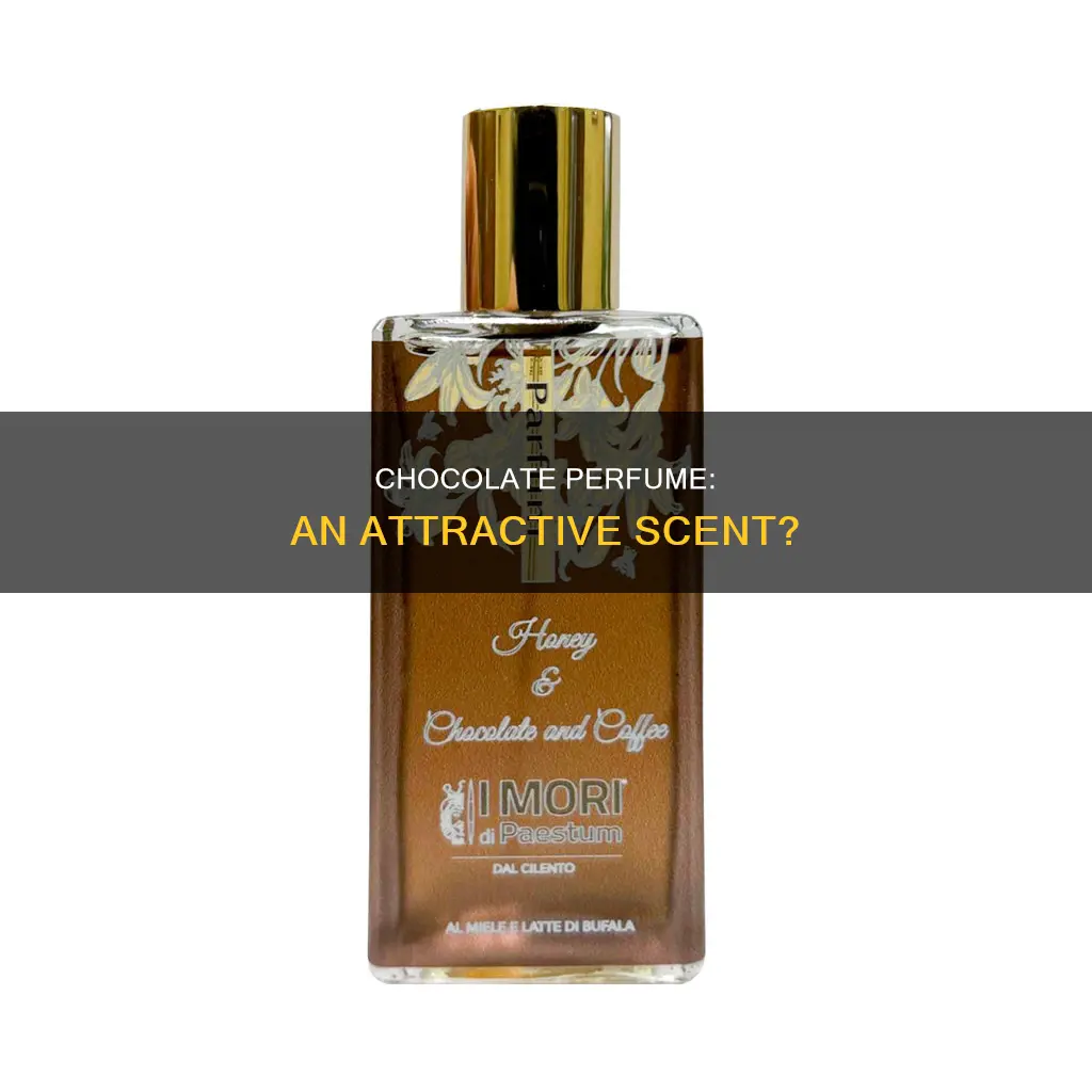 is chocolate perfume attractive