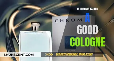 Azzaro Chrome Cologne: Is it Worth the Hype?