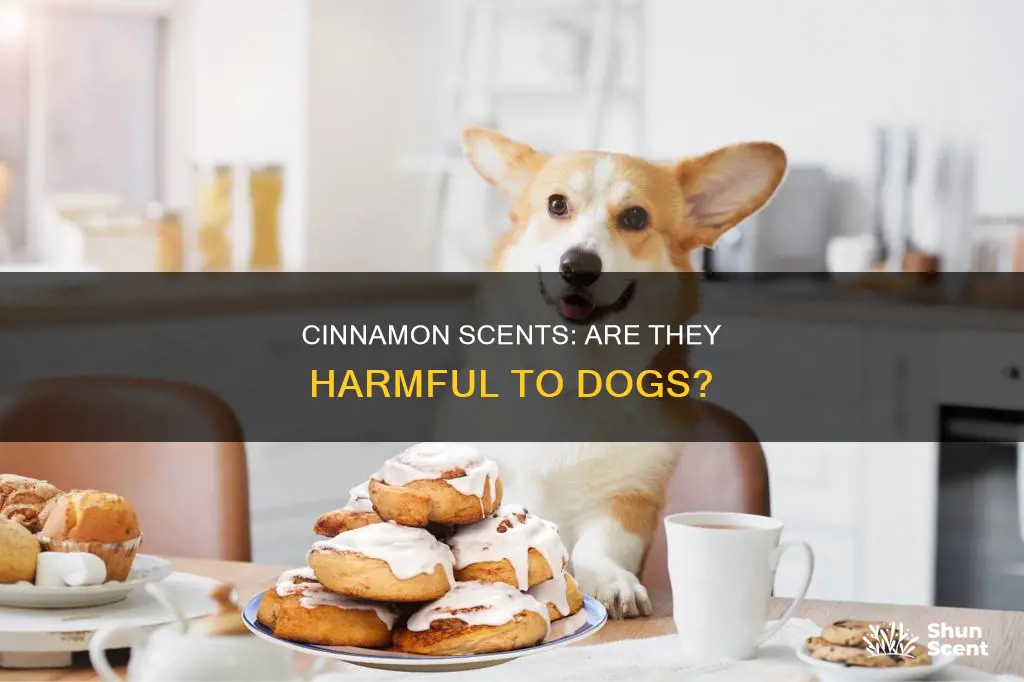 is cinnamon fragrance bad for dogs