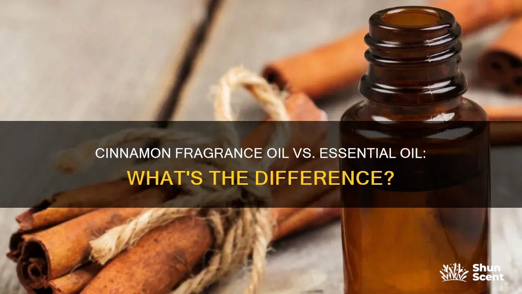 is cinnamon fragrance oil the same as essential oil