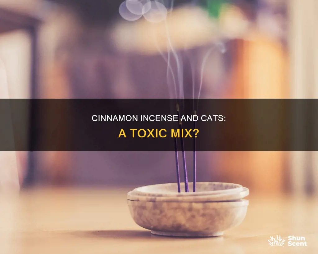 is cinnamon incense bad for cats