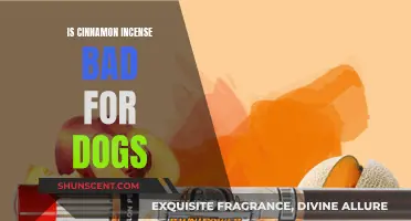 Cinnamon Incense: Is It Safe for Dogs?