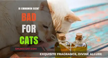 Is Cinnamon Scent Safe for Cats? What Pet Owners Need to Know
