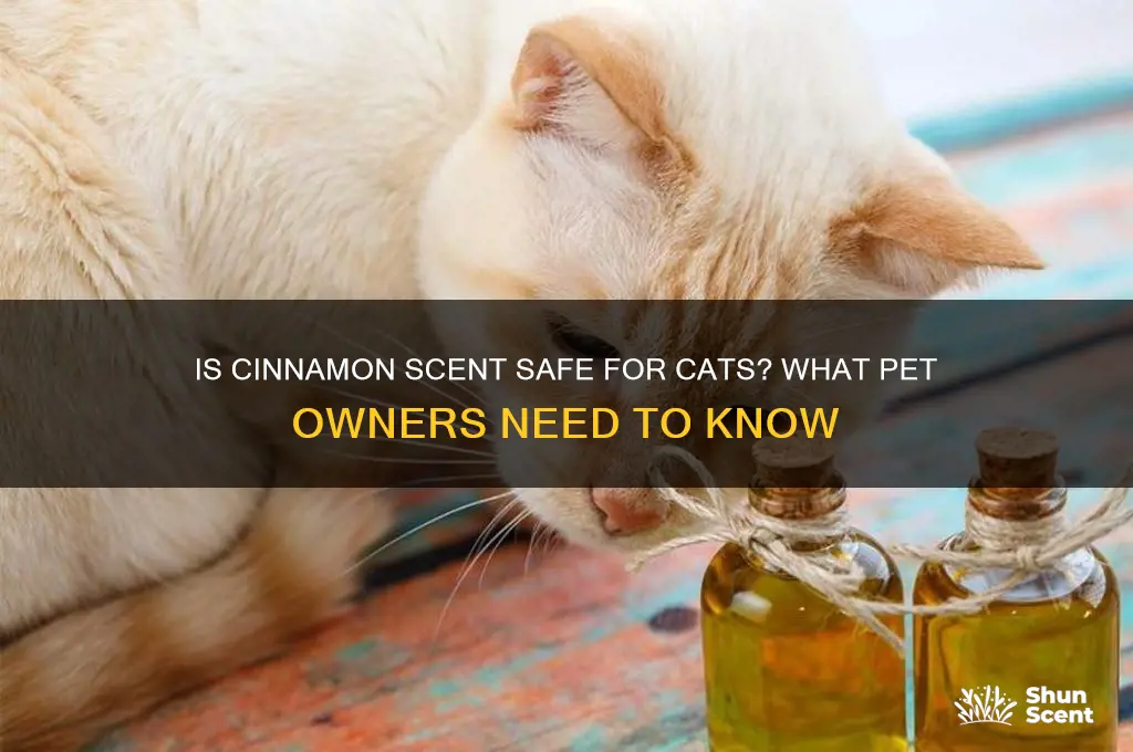 is cinnamon scent bad for cats
